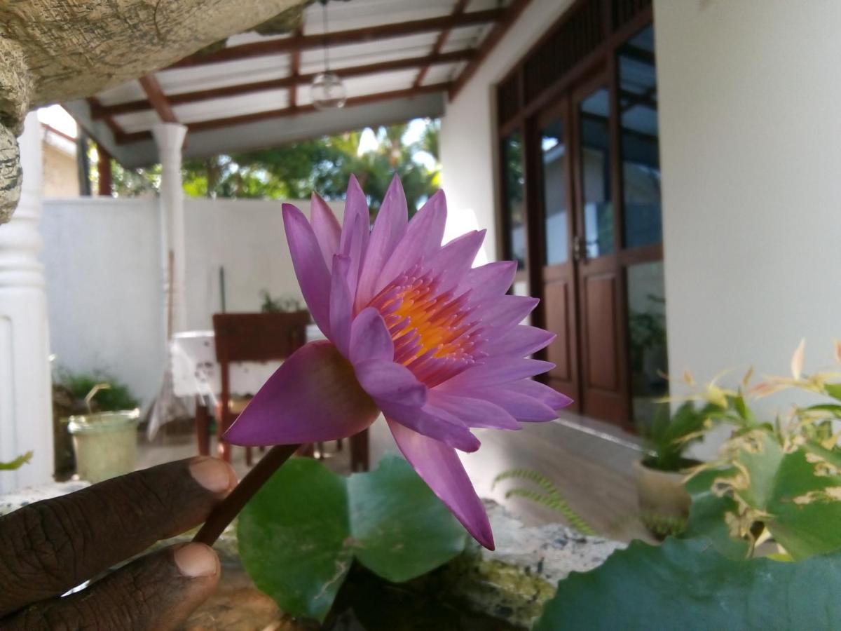 Sisila Villa เบนโตตา ภายนอก รูปภาพ